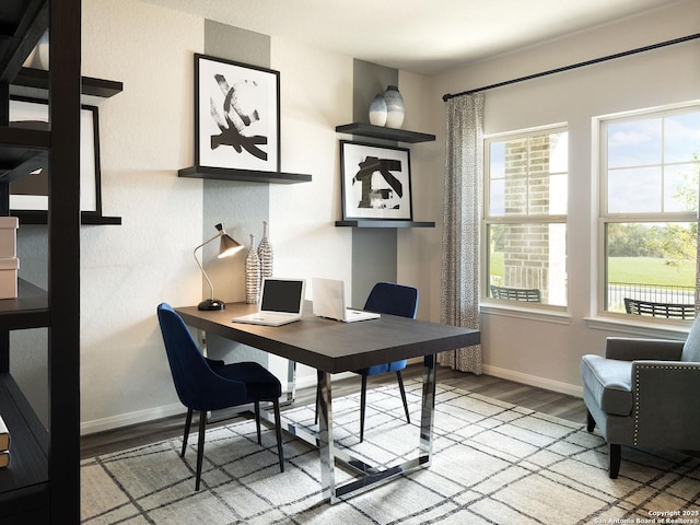 9921 Paladin Rdg, San Antonio, TX 78254 - office area featuring wood finished floors, baseboards, and healthy amount of natural light