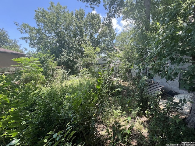 436 Pace, San Antonio, TX 78207 - view of yard