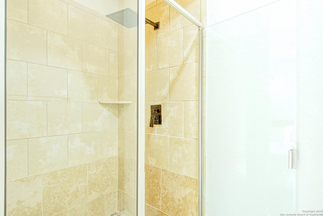 12902 Gypsophila, San Antonio, TX 78253 - full bath featuring a shower stall