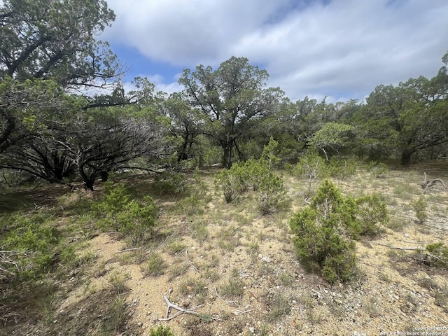 9007 Fox Briar, Boerne, TX 78006