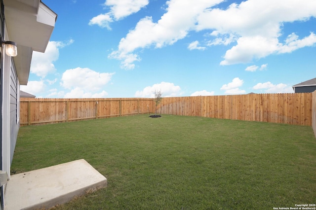 8570 Redhawk Lp, San Antonio, TX 78222 - view of yard