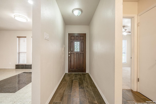 3202 Morning Crk, San Antonio, TX 78247 - doorway with dark wood finished floors, baseboards, and healthy amount of natural light