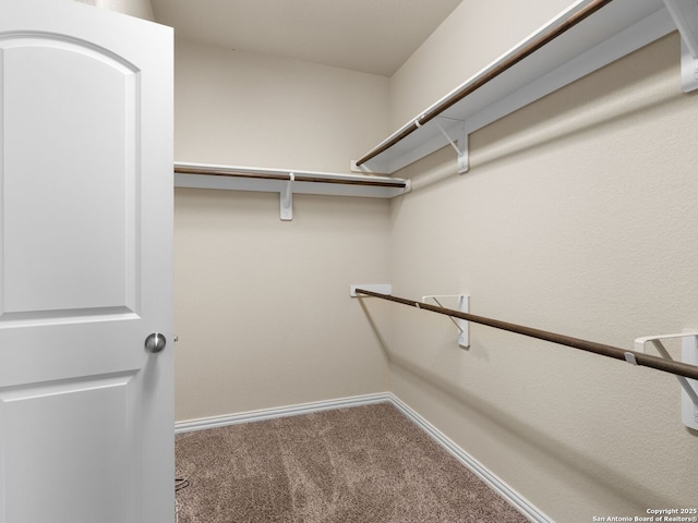 515 Secluded Grv, San Antonio, TX 78253 - walk in closet with carpet flooring