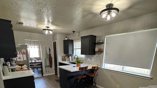 1817 Dusk Dr, Killeen, TX 76543 - kitchen featuring dark wood-type flooring, a textured ceiling, plenty of natural light, dark cabinets, and a sink