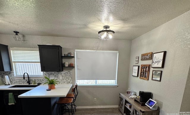 1817 Dusk Dr, Killeen, TX 76543 - kitchen with a sink, wood finished floors, a textured ceiling, light countertops, and a textured wall