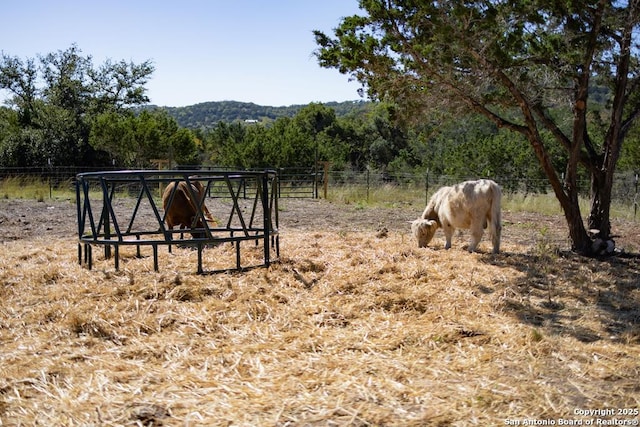 309 Walnut Rd, Fredericksburg, TX 78624