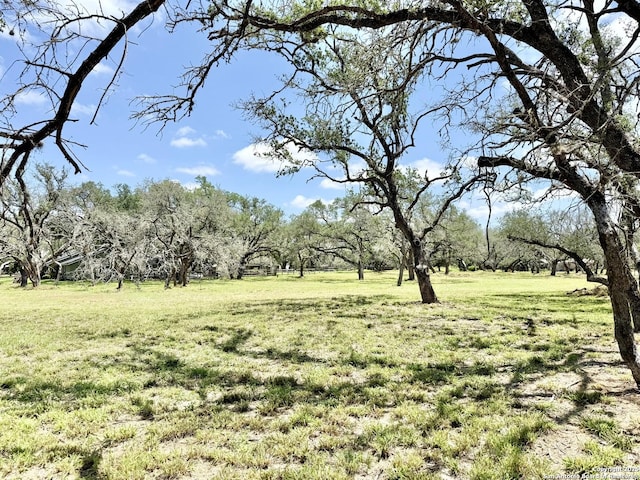 LOT53A Massad, Pleasanton, TX 78064