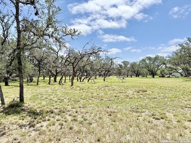 LOT53A Massad, Pleasanton, TX 78064