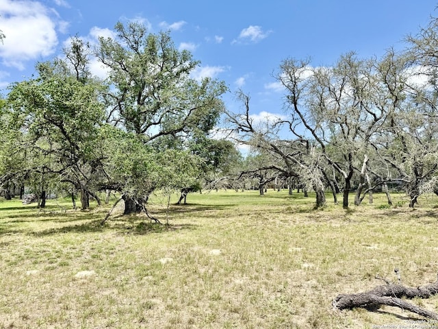 LOT53A Massad, Pleasanton, TX 78064