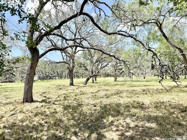 LOT53A Massad, Pleasanton, TX 78064