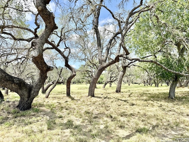 LOT53A Massad, Pleasanton, TX 78064