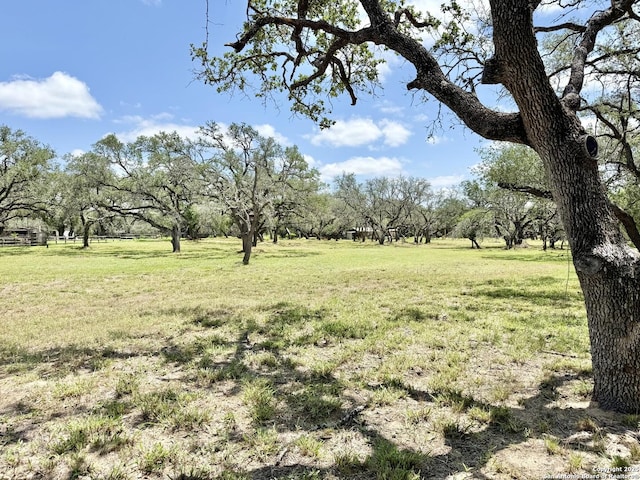 LOT53A Massad, Pleasanton, TX 78064