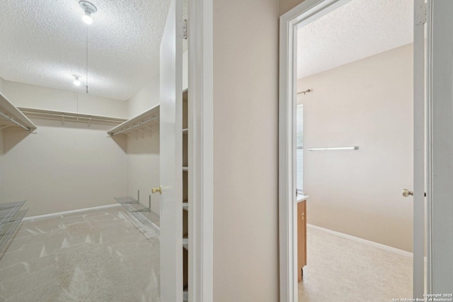10222 Eagle Blf, San Antonio, TX 78249 - spacious closet with carpet floors