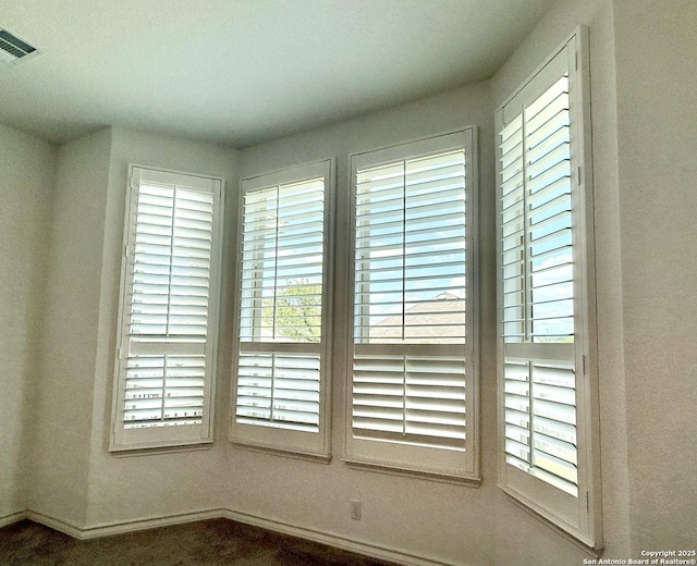 10828 Bango Farms, San Antonio, TX 78254 - detailed view of baseboards