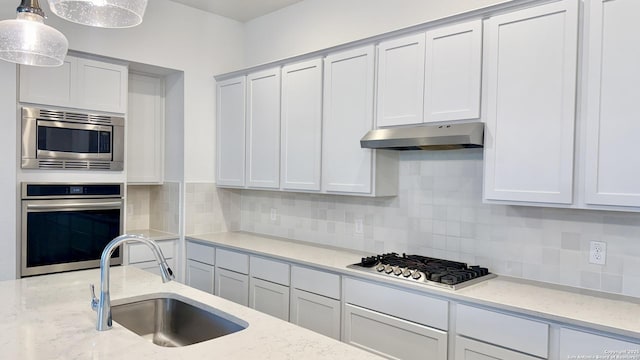 10828 Bango Farms, San Antonio, TX 78254 - kitchen featuring stainless steel appliances, under cabinet range hood, a sink, and backsplash