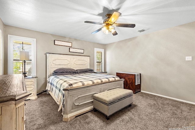2002 Encino Vly, San Antonio, TX 78259 - bedroom with dark colored carpet, multiple windows, a ceiling fan, and baseboards
