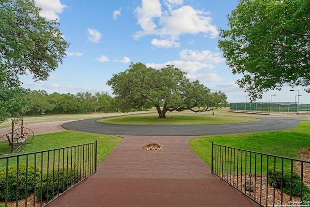 208 Cascade Caverns, Boerne, TX 78015 - view of property's community