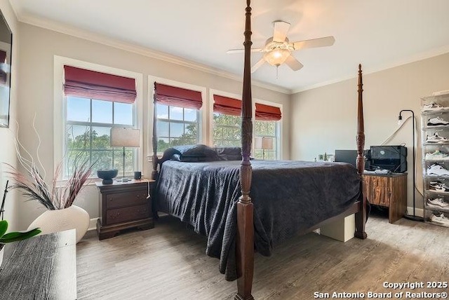 41 Champions Run, San Antonio, TX 78258 - bedroom with wood finished floors, crown molding, and ceiling fan