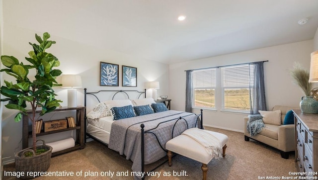 5030 Wichita Pike, San Antonio, TX 78253 - carpeted bedroom with baseboards