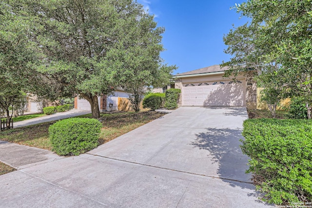 9215 Granberry, Universal City, TX 78148 - view of property hidden behind natural elements featuring concrete driveway