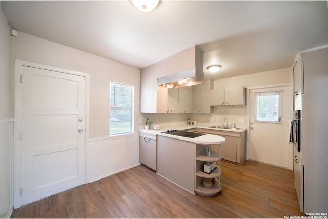 7414 Westfield Blvd, San Antonio, TX 78227 - kitchen with wood finished floors, black electric stovetop, light countertops, and a sink