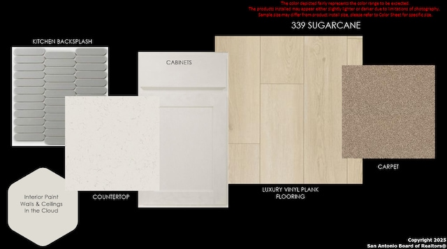 339 Sugarcane, New Braunfels, TX 78132 - view of miscellaneous property collateral