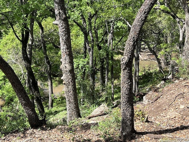 24607 Cliff Line, San Antonio, TX 78257 - view of tree filled area