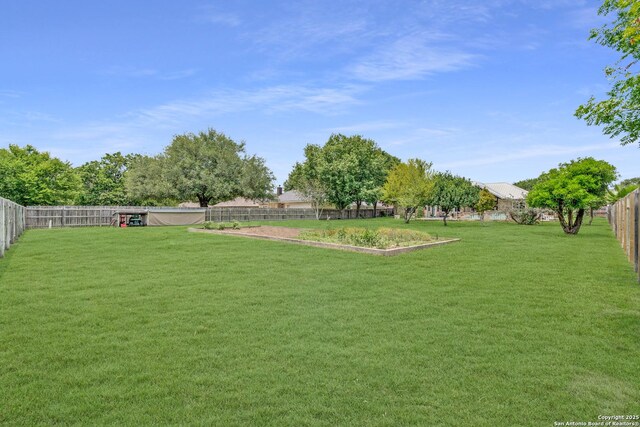121 Maderas, Seguin, TX 78155 - view of yard