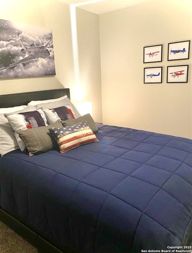 7003 Emerald Vly, San Antonio, TX 78242 - view of bedroom