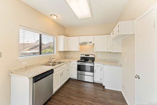 5626 Spring Sunshine, San Antonio, TX 78247 - kitchen with stainless steel appliances, a sink, under cabinet range hood, dark wood-type flooring, and light countertops