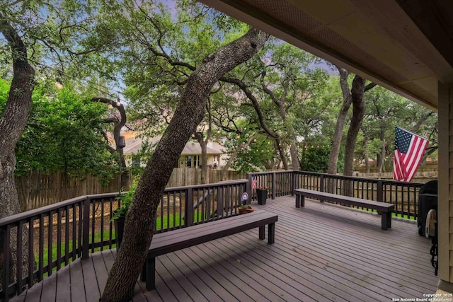 3714 Cotoneaster, San Antonio, TX 78261 - view of wooden deck