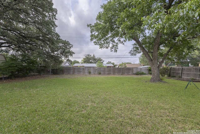 4326 Hall Park, San Antonio, TX 78218 - view of yard