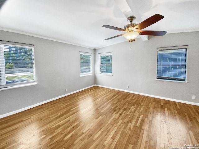 1002 Chevy Chase, San Antonio, TX 78209 - spare room featuring wood finished floors, crown molding, baseboards, and ceiling fan