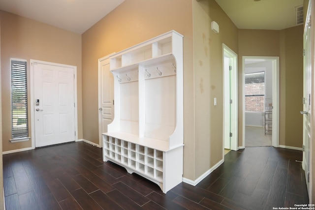 3410 Port Pl, San Antonio, TX 78253 - mudroom with plenty of natural light, baseboards, and dark wood-style flooring