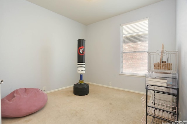 3410 Port Pl, San Antonio, TX 78253 - interior space with plenty of natural light, carpet, and baseboards