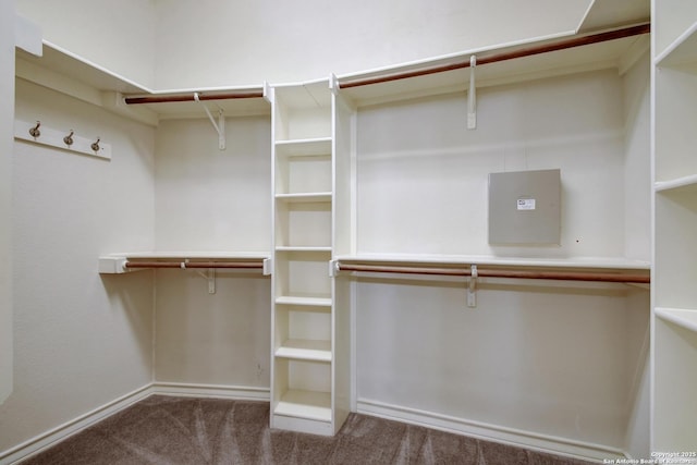 67 Oakwell Farms, San Antonio, TX 78218 - spacious closet with carpet floors