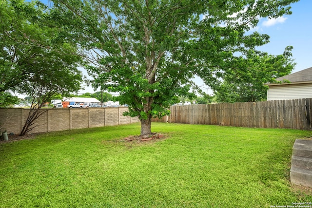 6826 Evercrest, San Antonio, TX 78239 - view of yard