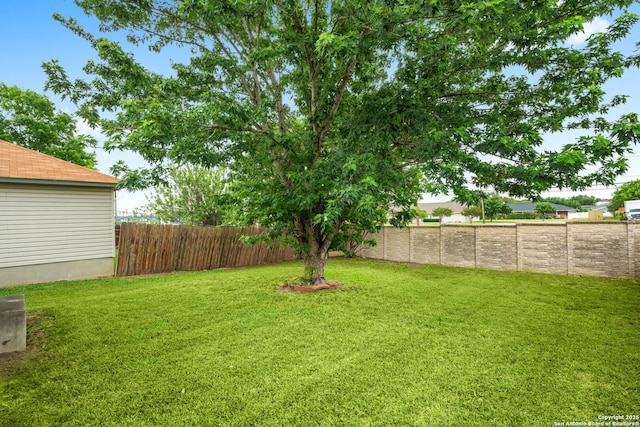 6826 Evercrest, San Antonio, TX 78239 - view of yard