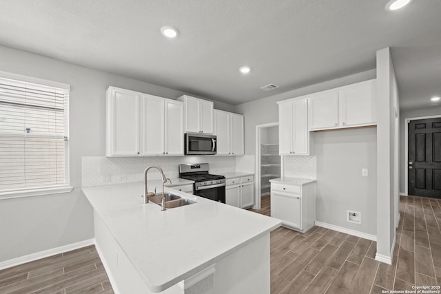 12942 Irvin Path, San Antonio, TX 78254 - kitchen featuring stainless steel appliances, a sink, baseboards, wood finished floors, and recessed lighting