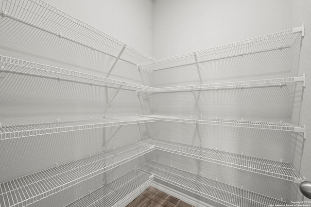 12942 Irvin Path, San Antonio, TX 78254 - view of pantry