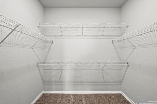 12942 Irvin Path, San Antonio, TX 78254 - spacious closet with carpet