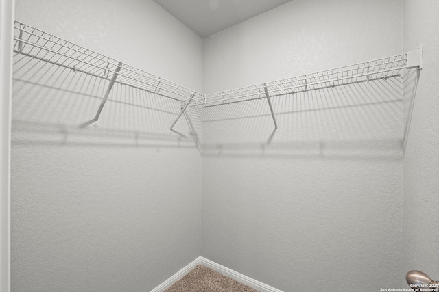 12942 Irvin Path, San Antonio, TX 78254 - walk in closet with carpet