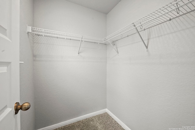 12942 Irvin Path, San Antonio, TX 78254 - walk in closet with carpet floors