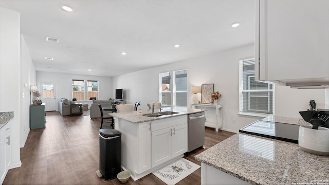 729 Heartseed Ave, New Braunfels, TX 78130 - kitchen with stainless steel dishwasher, a sink, white cabinets, dark wood-style floors, and recessed lighting
