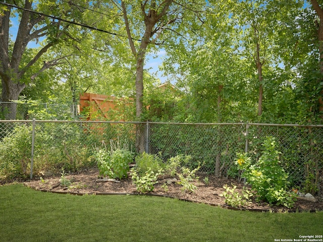 126 Arnold, San Antonio, TX 78213 - view of yard