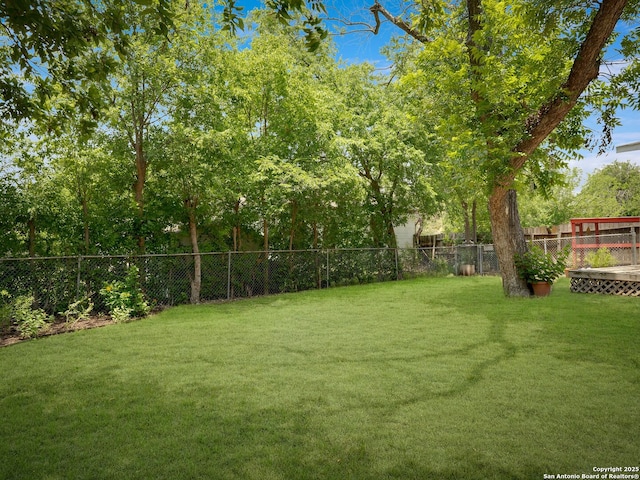 126 Arnold, San Antonio, TX 78213 - view of yard