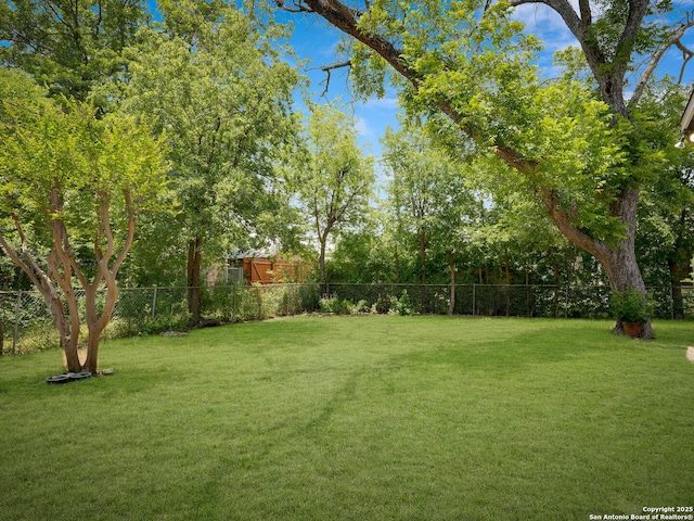 126 Arnold, San Antonio, TX 78213 - view of yard