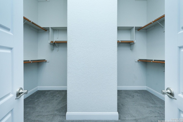 24342 Mateo Rdg, San Antonio, TX 78261 - spacious closet featuring carpet flooring