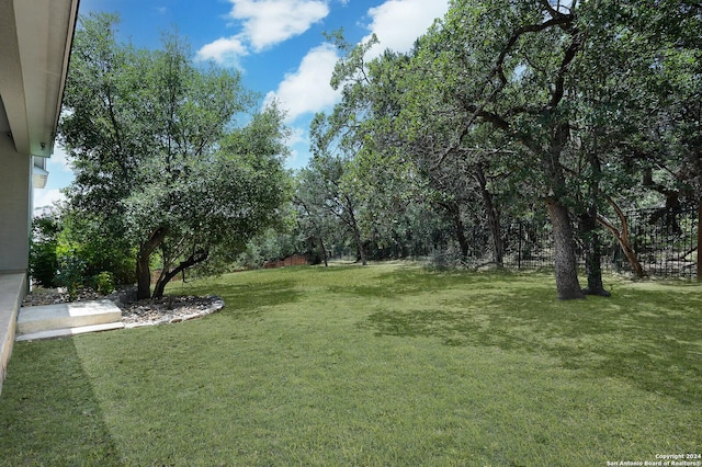 24342 Mateo Rdg, San Antonio, TX 78261 - view of green lawn