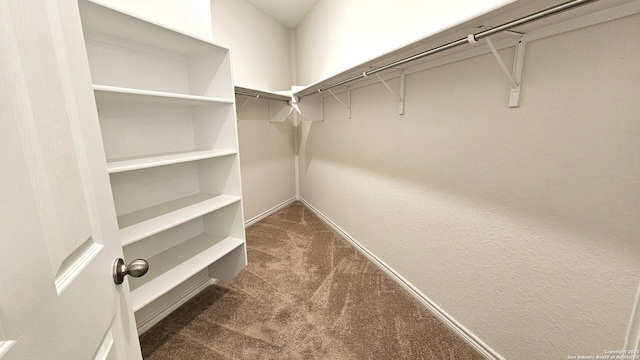 5930 Foster Bnd, San Antonio, TX 78244 - spacious closet with carpet